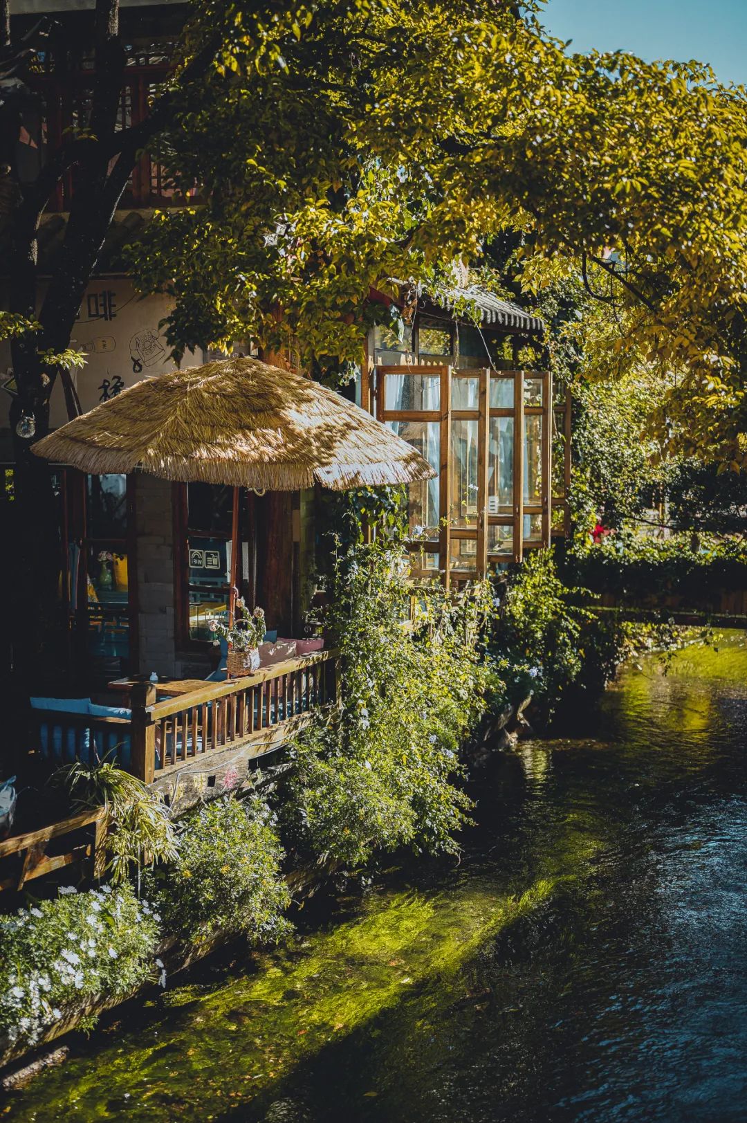 有一种叫云南的生活 | 我生活的地方叫丽江