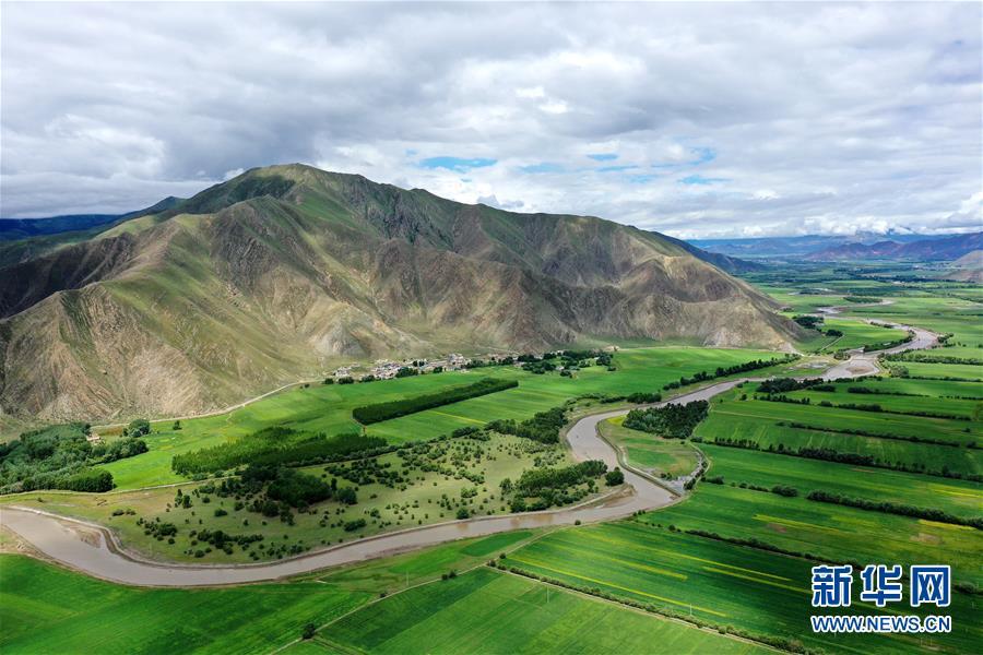 拉萨市林周县边交林乡田园景色(7月14日摄,无人机照片).