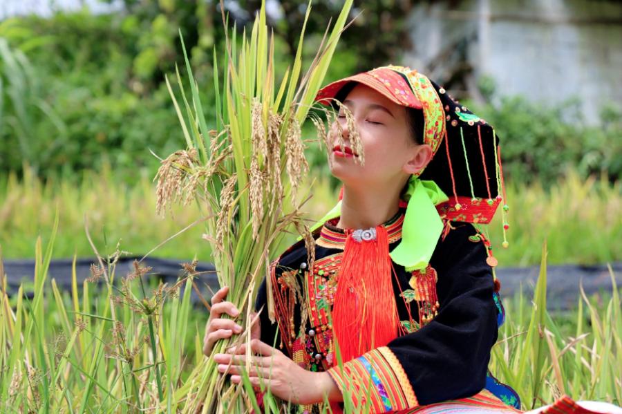 摄影作品云南省红河州金平县民族团结一家亲