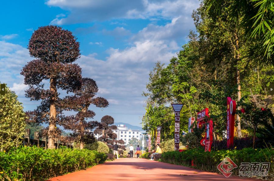 早安云南|陇川森林公园,坐落城中的"天然氧吧"_云南网